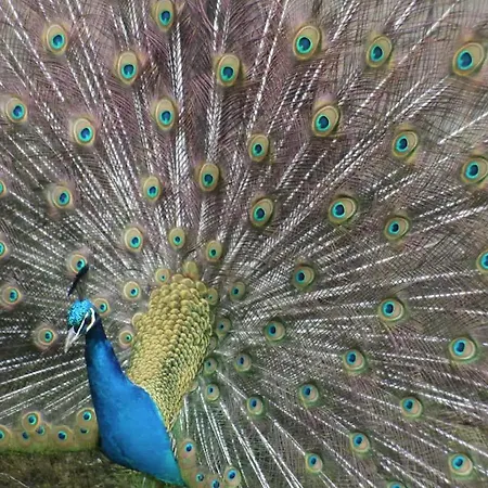 The Mill At Wells House & Gardens *