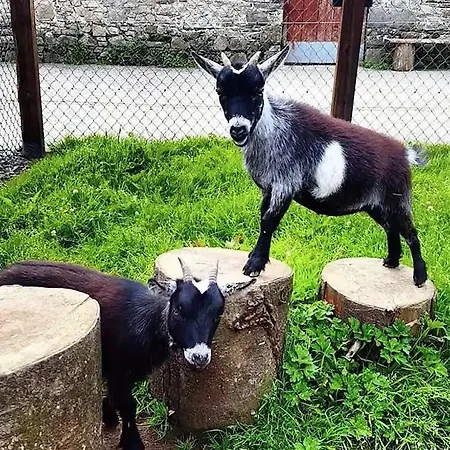 The Mill At Wells House & Gardens *