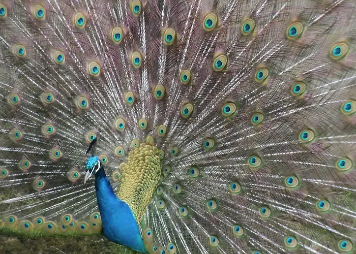 The Mill At Wells House & Gardens *